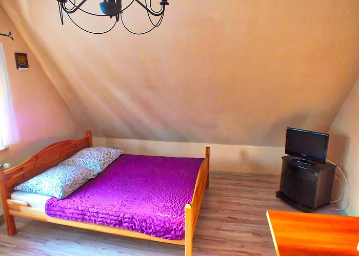 W Centrum Sienkiewicza Accommodatie bij particulieren Zakopane